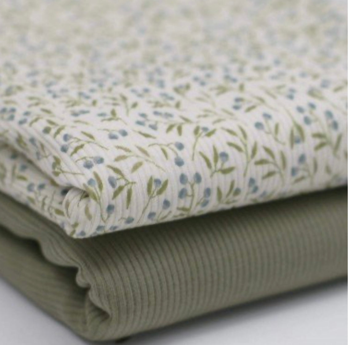 Rib Knit Jersey Blueberry Plant