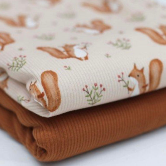 Rib Knit Jersey Squirrels