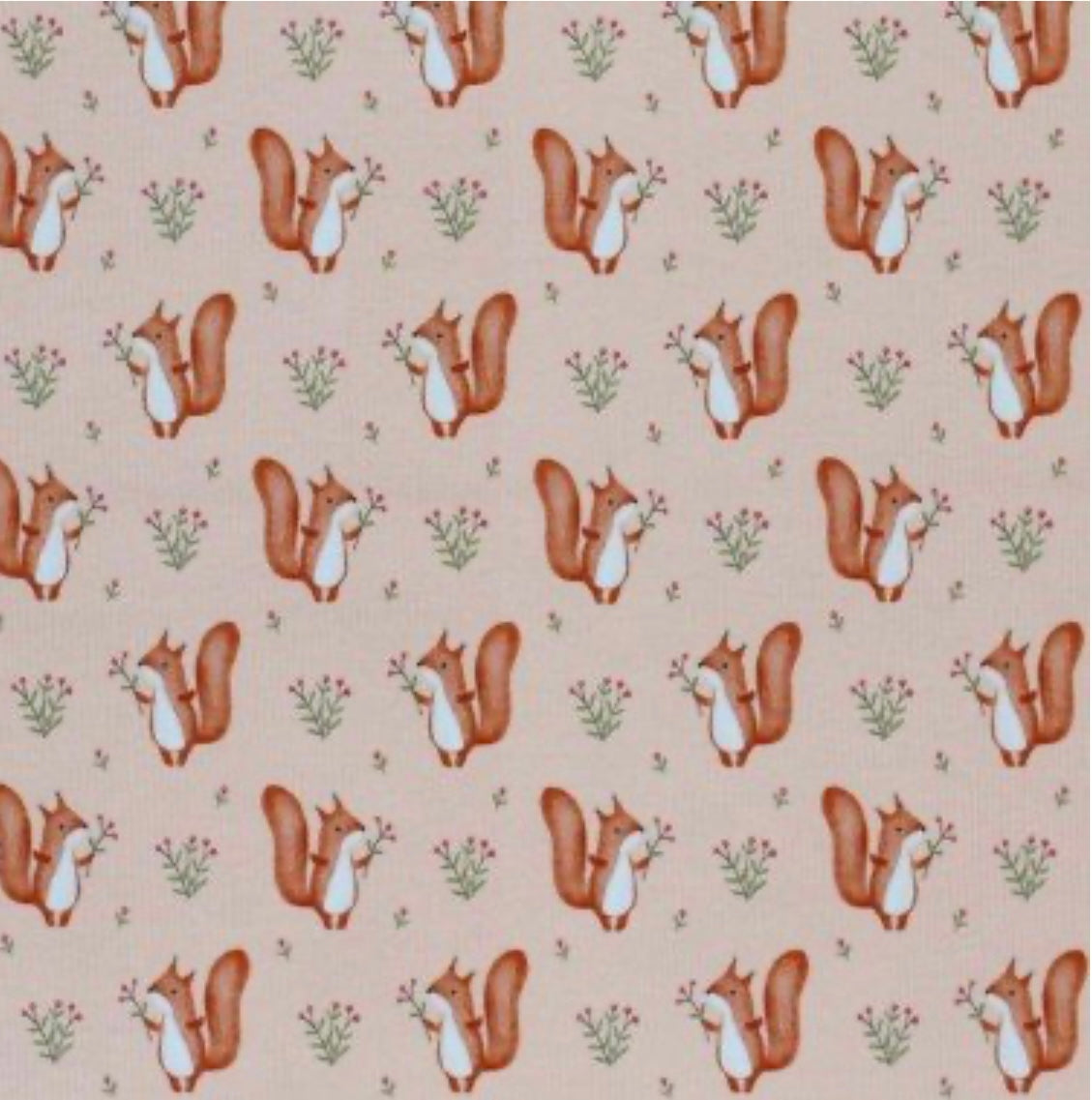 Rib Knit Jersey Squirrels